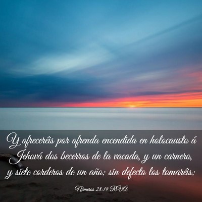 Picture 03 - Números 28:19 RVA - Y ofreceréis por ofrenda encendida en holocausto - Bible Verse Picture