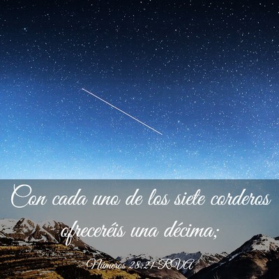 Picture 03 - Números 28:21 RVA - Con cada uno de los siete corderos ofreceréis - Bible Verse Picture