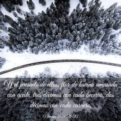 Picture 03 - Números 28:28 RVA - Y el presente de ellos, flor de harina amasada - Bible Verse Picture