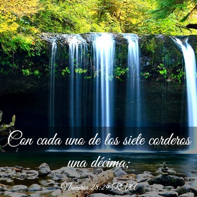 Picture 03 - Números 28:29 RVA - Con cada uno de los siete corderos una - Bible Verse Picture