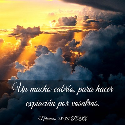 Picture 03 - Números 28:30 RVA - Un macho cabrío, para hacer expiación por - Bible Verse Picture