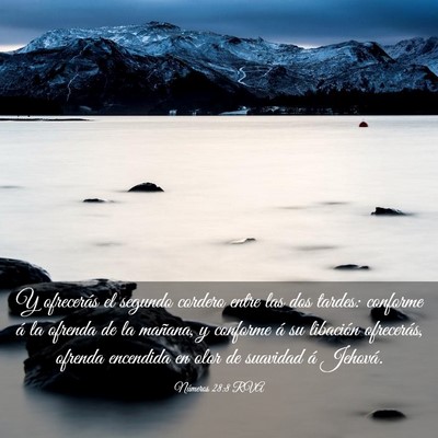 Picture 03 - Números 28:8 RVA - Y ofrecerás el segundo cordero entre las dos - Bible Verse Picture