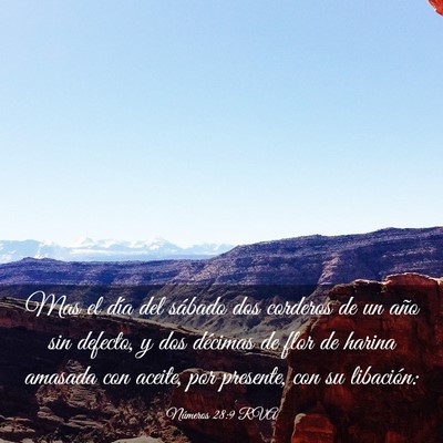 Picture 03 - Números 28:9 RVA - Mas el día del sábado dos corderos de un año - Bible Verse Picture