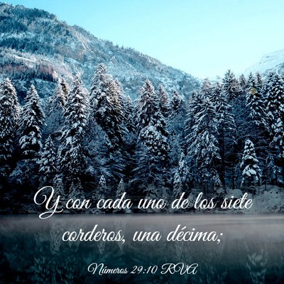 Picture 03 - Números 29:10 RVA - Y con cada uno de los siete corderos, una - Bible Verse Picture