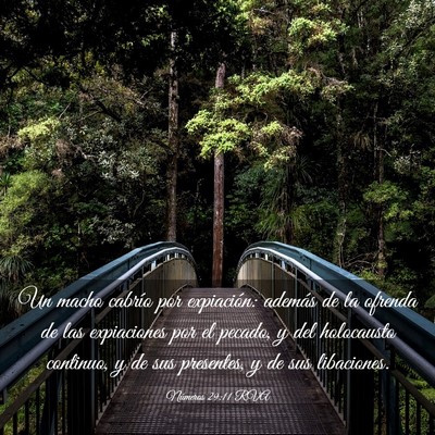 Picture 03 - Números 29:11 RVA - Un macho cabrío por expiación: además de la - Bible Verse Picture