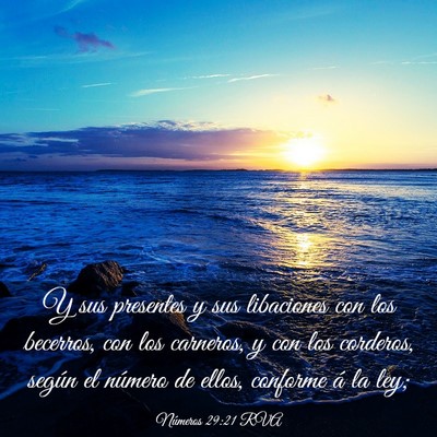 Picture 03 - Números 29:21 RVA - Y sus presentes y sus libaciones con los - Bible Verse Picture