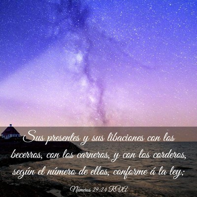 Picture 03 - Números 29:24 RVA - Sus presentes y sus libaciones con los becerros, - Bible Verse Picture