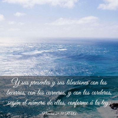 Picture 03 - Números 29:30 RVA - Y sus presentes y sus libaciones con los - Bible Verse Picture