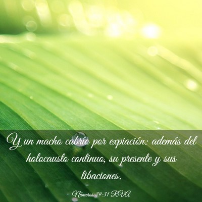 Picture 03 - Números 29:31 RVA - Y un macho cabrío por expiación: además del - Bible Verse Picture