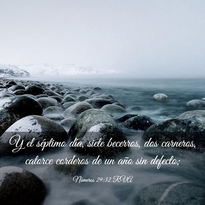 Picture 03 - Números 29:32 RVA - Y el séptimo día, siete becerros, dos carneros, - Bible Verse Picture