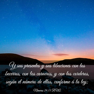 Picture 03 - Números 29:33 RVA - Y sus presentes y sus libaciones con los - Bible Verse Picture