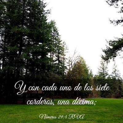 Picture 03 - Números 29:4 RVA - Y con cada uno de los siete corderos, una - Bible Verse Picture