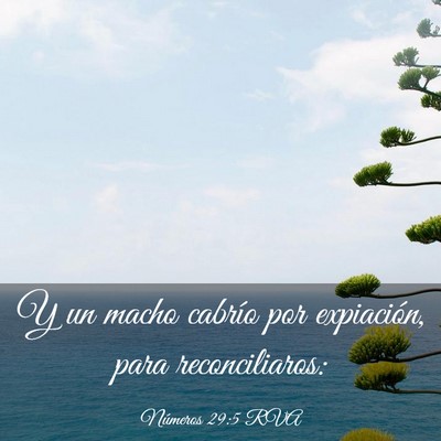 Picture 03 - Números 29:5 RVA - Y un macho cabrío por expiación, para - Bible Verse Picture