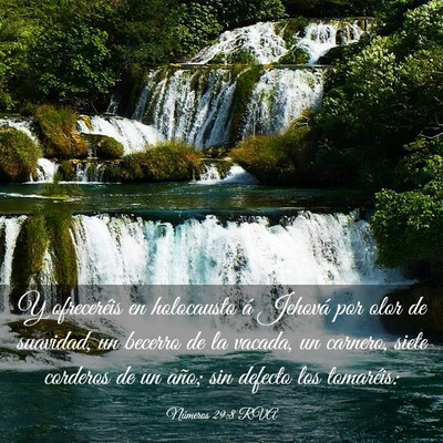 Picture 03 - Números 29:8 RVA - Y ofreceréis en holocausto á Jehová por olor - Bible Verse Picture