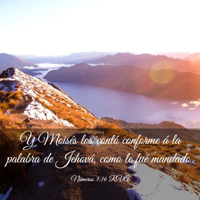 Picture 03 - Números 3:16 RVA - Y Moisés los contó conforme á la palabra de - Bible Verse Picture