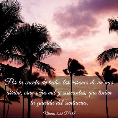 Picture 03 - Números 3:28 RVA - Por la cuenta de todos los varones de un mes - Bible Verse Picture