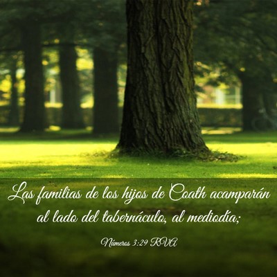 Picture 03 - Números 3:29 RVA - Las familias de los hijos de Coath acamparán al - Bible Verse Picture