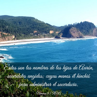 Picture 03 - Números 3:3 RVA - Estos son los nombres de los hijos de Aarón, - Bible Verse Picture