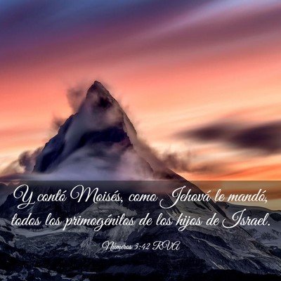 Picture 03 - Números 3:42 RVA - Y contó Moisés, como Jehová le mandó, todos - Bible Verse Picture