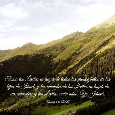 Picture 03 - Números 3:45 RVA - Toma los Levitas en lugar de todos los - Bible Verse Picture