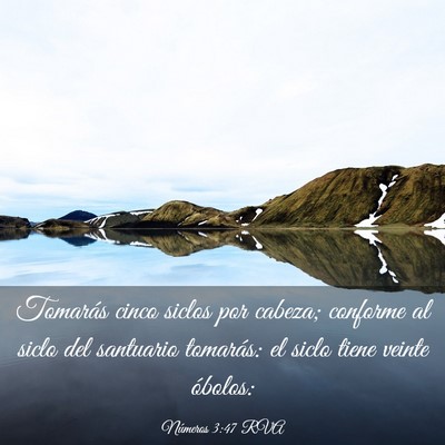 Picture 03 - Números 3:47 RVA - Tomarás cinco siclos por cabeza; conforme al - Bible Verse Picture