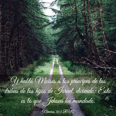Picture 03 - Números 30:1 RVA - Y habló Moisés á los príncipes de las tribus - Bible Verse Picture