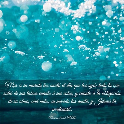 Picture 03 - Números 30:12 RVA - Mas si su marido los anuló el día que los oyó; - Bible Verse Picture