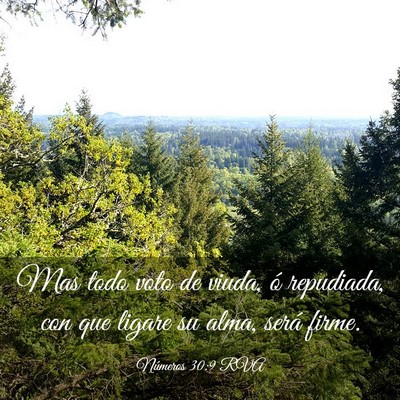 Picture 03 - Números 30:9 RVA - Mas todo voto de viuda, ó repudiada, con que - Bible Verse Picture