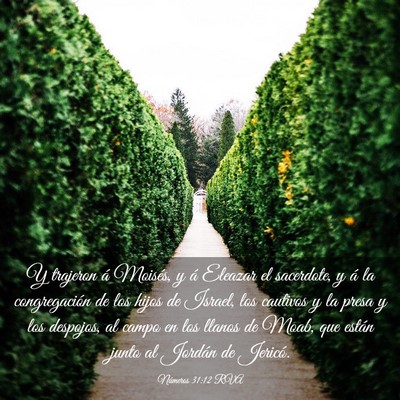 Picture 03 - Números 31:12 RVA - Y trajeron á Moisés, y á Eleazar el sacerdote, - Bible Verse Picture