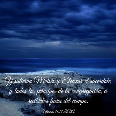 Picture 03 - Números 31:13 RVA - Y salieron Moisés y Eleazar el sacerdote, y - Bible Verse Picture