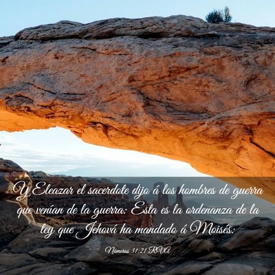 Picture 03 - Números 31:21 RVA - Y Eleazar el sacerdote dijo á los hombres de - Bible Verse Picture