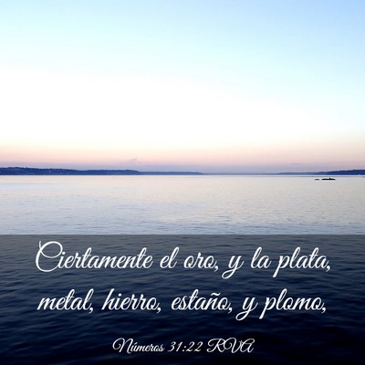 Picture 03 - Números 31:22 RVA - Ciertamente el oro, y la plata, metal, hierro, - Bible Verse Picture