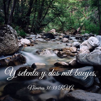 Picture 03 - Números 31:33 RVA - Y setenta y dos mil - Bible Verse Picture