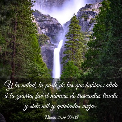 Picture 03 - Números 31:36 RVA - Y la mitad, la parte de los que habían salido á - Bible Verse Picture