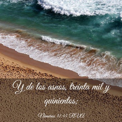 Picture 03 - Números 31:45 RVA - Y de los asnos, treinta mil y - Bible Verse Picture