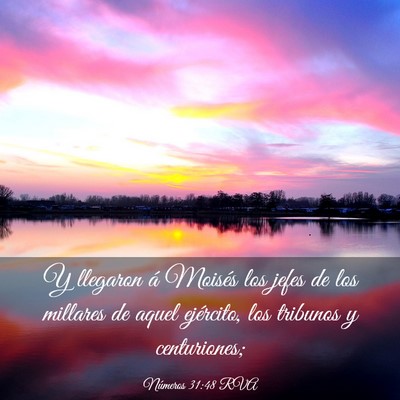 Picture 03 - Números 31:48 RVA - Y llegaron á Moisés los jefes de los millares - Bible Verse Picture