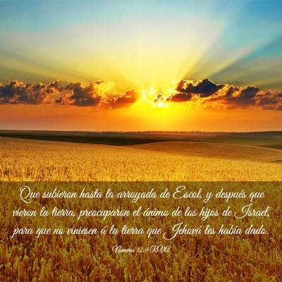 Picture 03 - Números 32:9 RVA - Que subieron hasta la arroyada de Escol, y - Bible Verse Picture