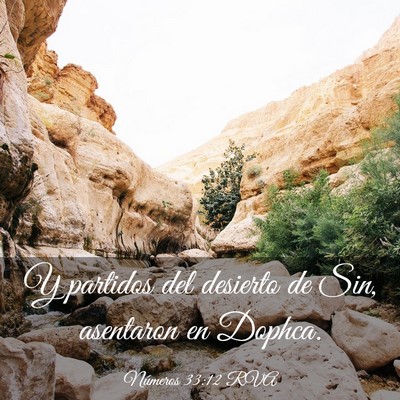 Picture 03 - Números 33:12 RVA - Y partidos del desierto de Sin, asentaron en - Bible Verse Picture