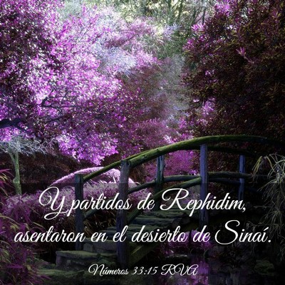 Picture 03 - Números 33:15 RVA - Y partidos de Rephidim, asentaron en el desierto - Bible Verse Picture