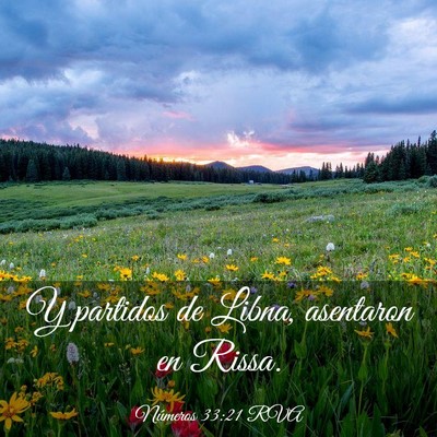 Picture 03 - Números 33:21 RVA - Y partidos de Libna, asentaron en - Bible Verse Picture