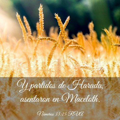 Picture 03 - Números 33:25 RVA - Y partidos de Harada, asentaron en - Bible Verse Picture