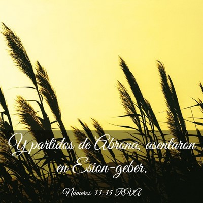 Picture 03 - Números 33:35 RVA - Y partidos de Abrona, asentaron en - Bible Verse Picture