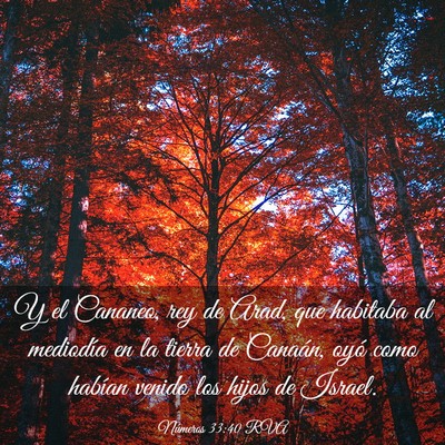 Picture 03 - Números 33:40 RVA - Y el Cananeo, rey de Arad, que habitaba al - Bible Verse Picture