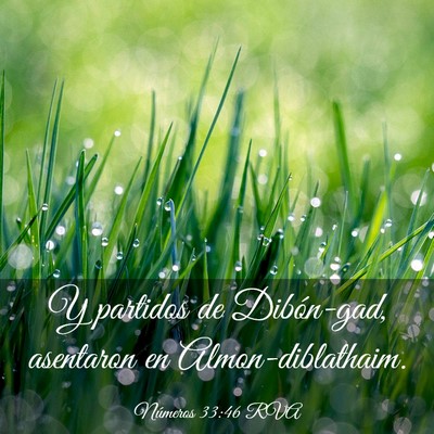 Picture 03 - Números 33:46 RVA - Y partidos de Dibón-gad, asentaron en - Bible Verse Picture