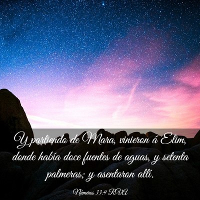 Picture 03 - Números 33:9 RVA - Y partiendo de Mara, vinieron á Elim, donde - Bible Verse Picture