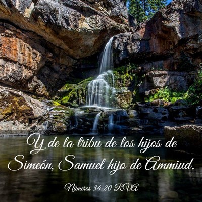 Picture 03 - Números 34:20 RVA - Y de la tribu de los hijos de Simeón, Samuel - Bible Verse Picture