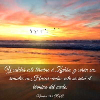 Picture 03 - Números 34:9 RVA - Y saldrá este término á Ziphón, y serán sus - Bible Verse Picture