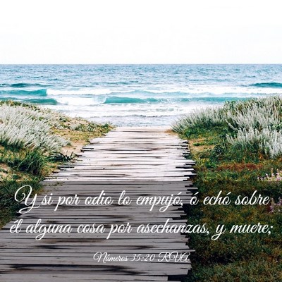 Picture 03 - Números 35:20 RVA - Y si por odio lo empujó, ó echó sobre él - Bible Verse Picture