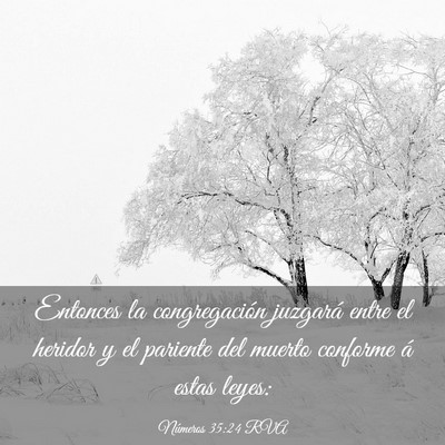 Picture 03 - Números 35:24 RVA - Entonces la congregación juzgará entre el - Bible Verse Picture