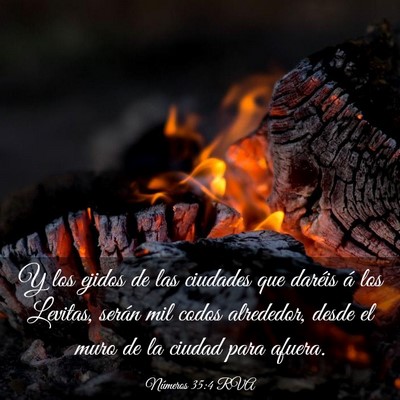 Picture 03 - Números 35:4 RVA - Y los ejidos de las ciudades que daréis á los - Bible Verse Picture